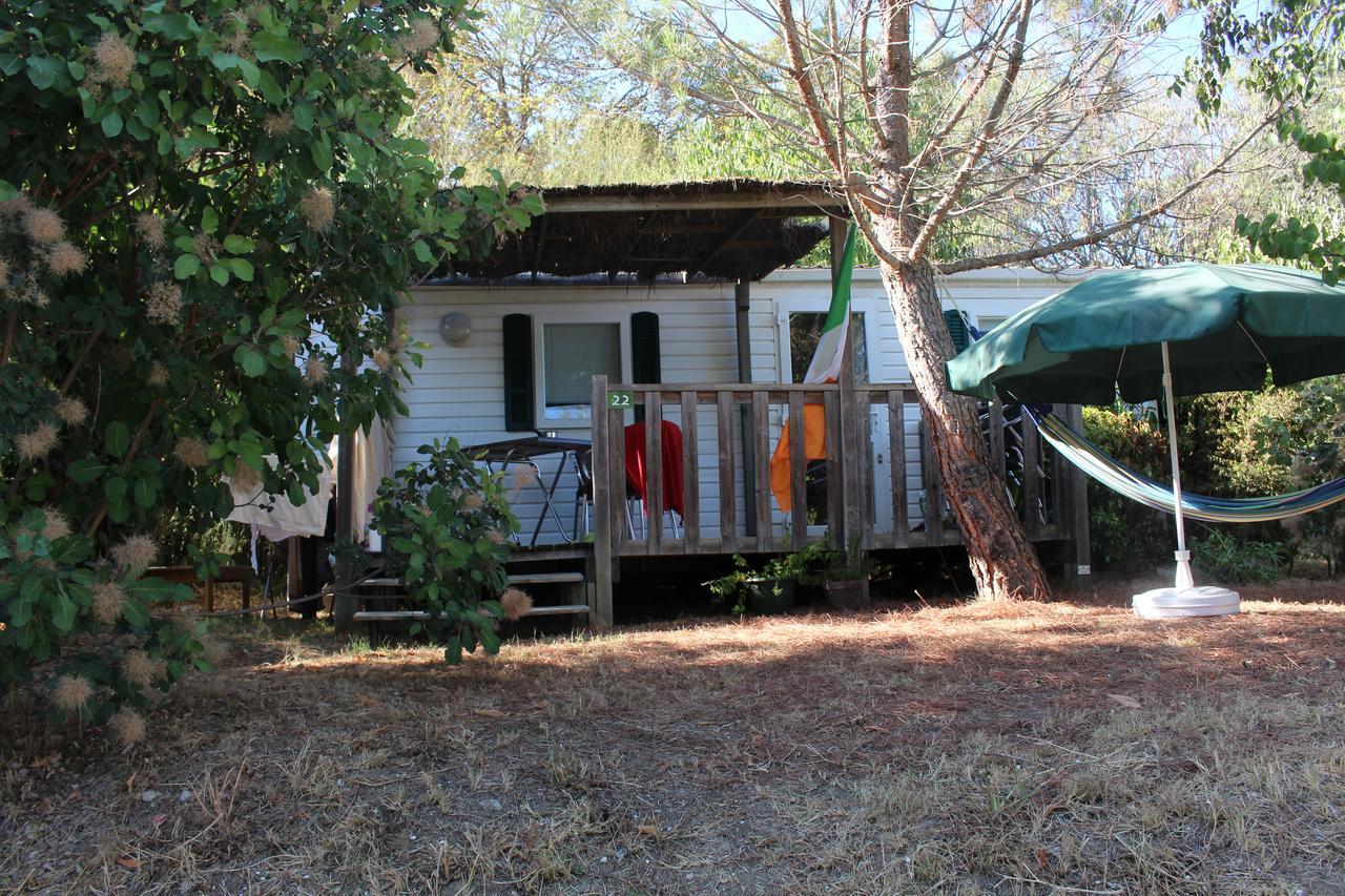 Camping Forcalquier Les Routes De Provence Hotell Eksteriør bilde